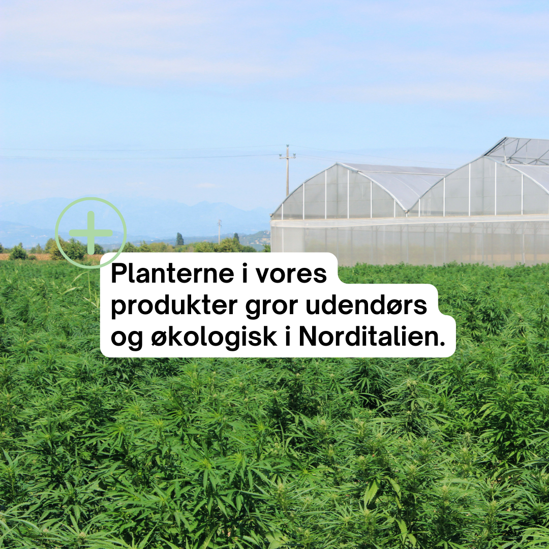 Fuldspektrum CBD olie 20% appelsin