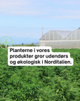 Fuldspektrum premium CBD olie 20% 3-Flasker