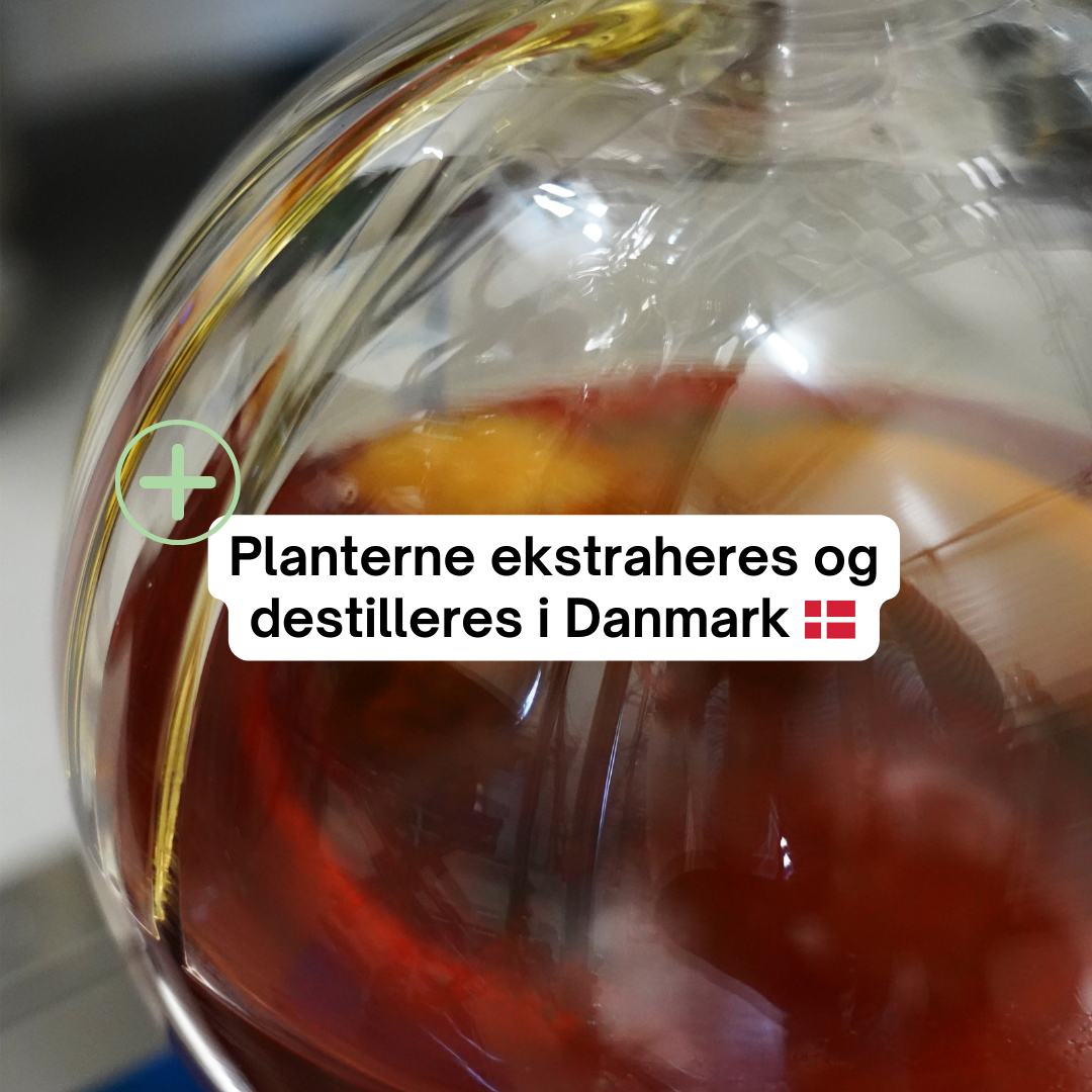 2 FOR 1 Dansk CBD olie med økologisk kamille